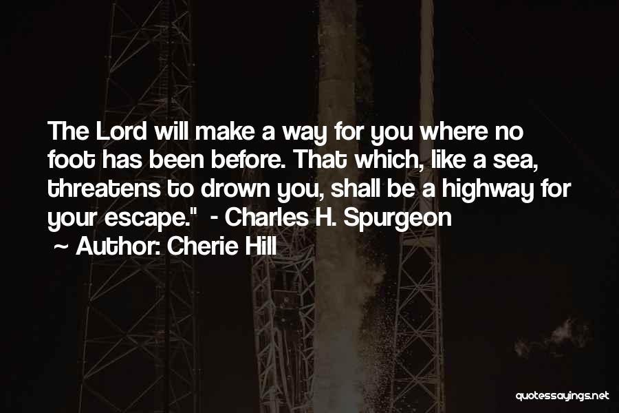 Cherie Hill Quotes 1594010
