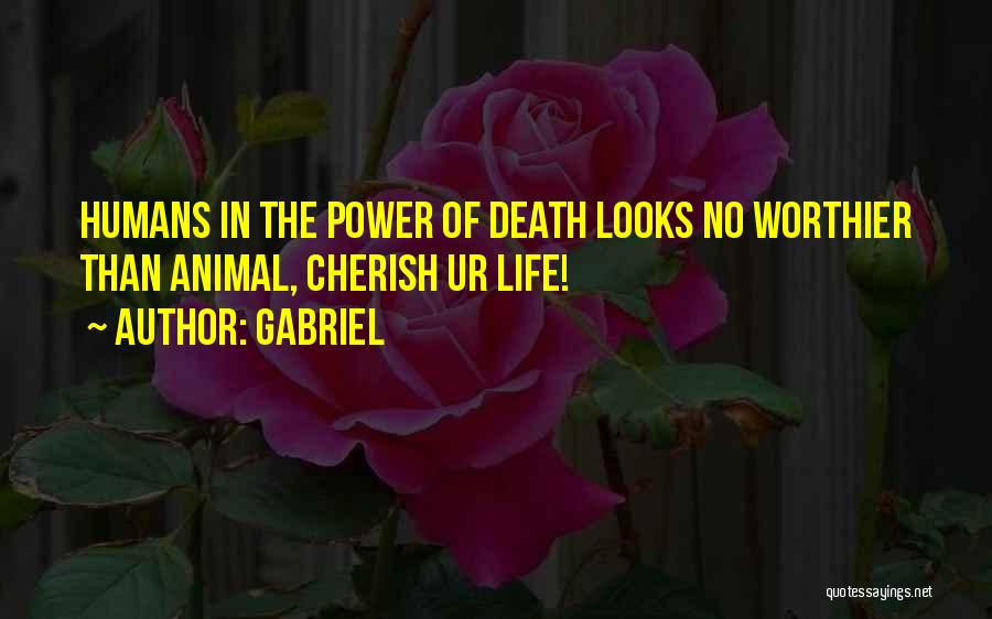 Cherish Life Death Quotes By Gabriel