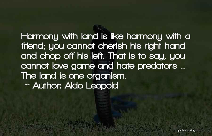 Cherish The One You Love Quotes By Aldo Leopold