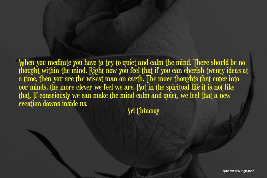 Cherish The Time We Have Quotes By Sri Chinmoy