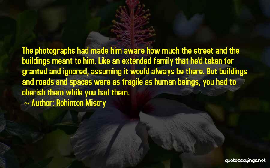 Cherish Your Family Quotes By Rohinton Mistry