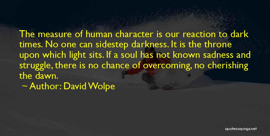 Cherishing Quotes By David Wolpe