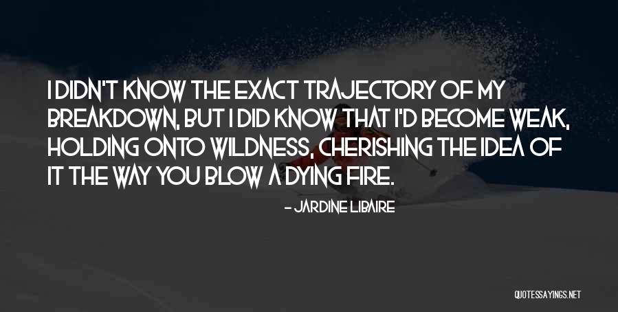 Cherishing Quotes By Jardine Libaire