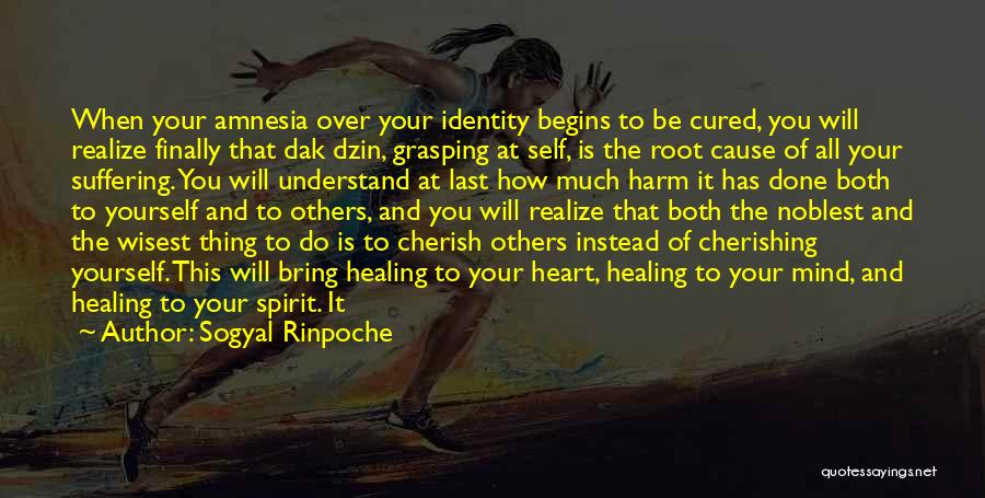 Cherishing Quotes By Sogyal Rinpoche