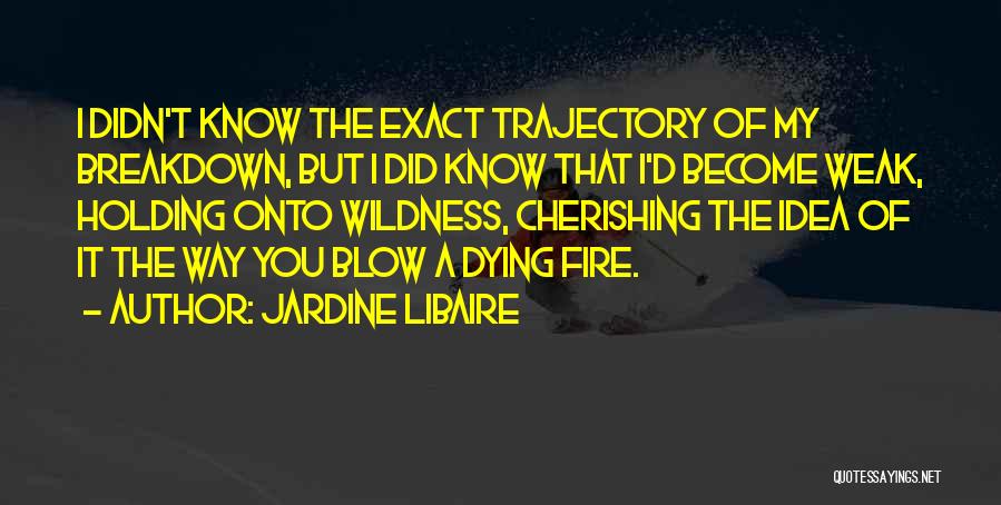 Cherishing Someone Quotes By Jardine Libaire