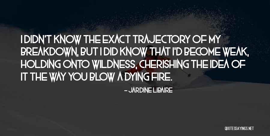 Cherishing The Past Quotes By Jardine Libaire Cherishing The Past Quotes By Jardine Libaire