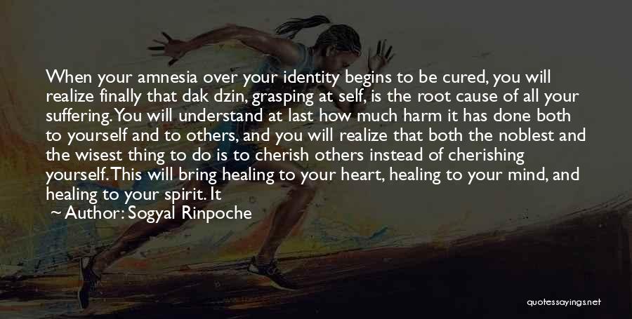 Cherishing You Quotes By Sogyal Rinpoche