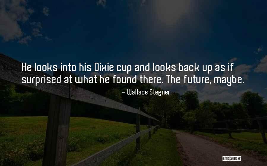 Cherissa Rainwater Quotes By Wallace Stegner Cherissa Rainwater Quotes By Wallace Stegner