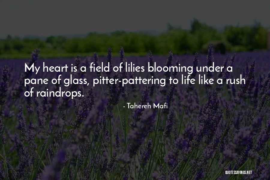 Cherkaoui Cook Quotes By Tahereh Mafi Cherkaoui Cook Quotes By Tahereh Mafi