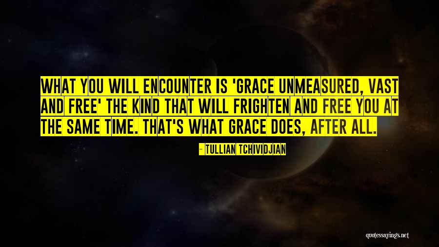 Chernenko Dog Quotes By Tullian Tchividjian Chernenko Dog Quotes By Tullian Tchividjian