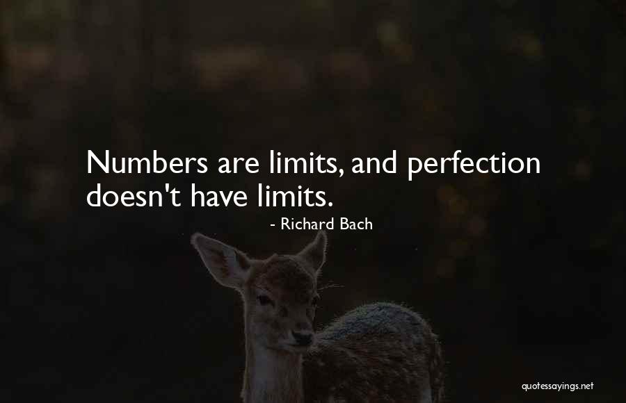 Cherniak Law Quotes By Richard Bach Cherniak Law Quotes By Richard Bach