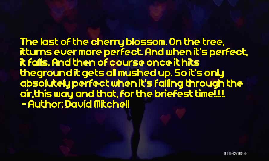 Cherry Blossom Quotes By David Mitchell