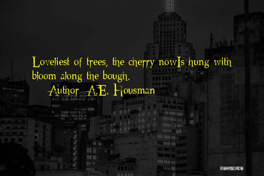 Cherry Tree Quotes By A.E. Housman