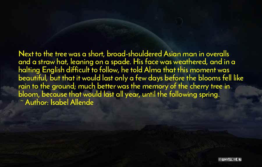 Cherry Tree Quotes By Isabel Allende