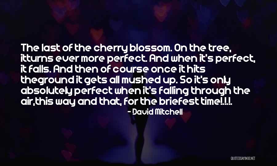 Cherry Tree With Quotes By David Mitchell Cherry Tree With Quotes By David Mitchell