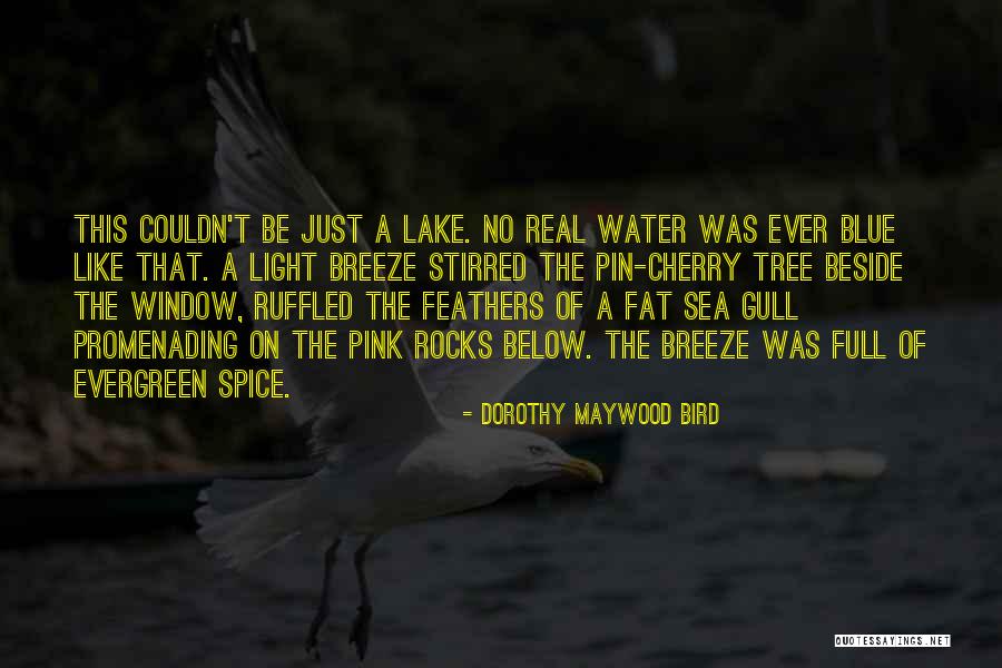 Cherry Tree With Quotes By Dorothy Maywood Bird Cherry Tree With Quotes By Dorothy Maywood Bird