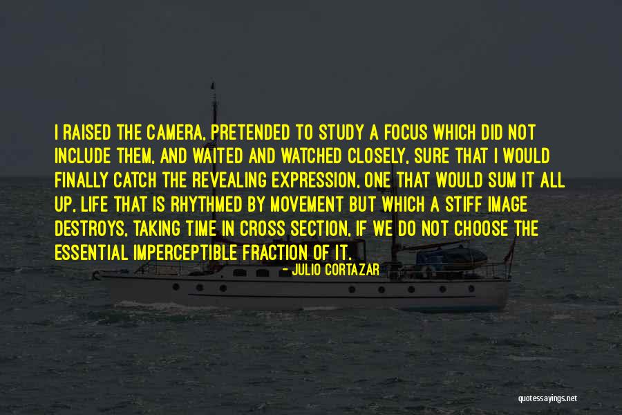 Cherrybam Girly Quotes By Julio Cortazar Cherrybam Girly Quotes By Julio Cortazar