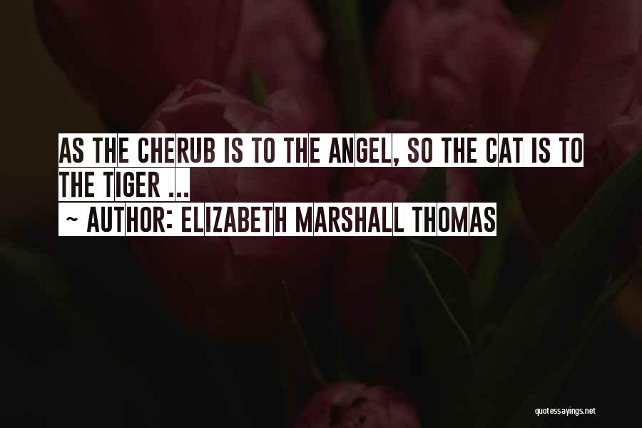 Cherub Angel Quotes By Elizabeth Marshall Thomas