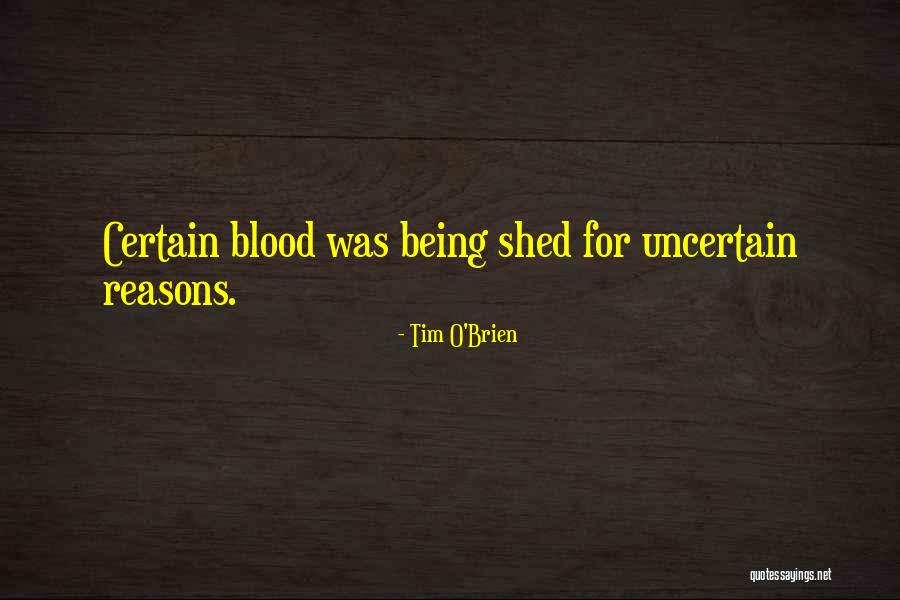 Cherubini Quotes By Tim O'Brien Cherubini Quotes By Tim O'Brien