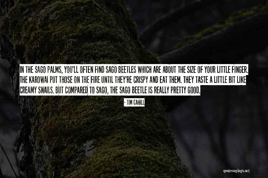 Cheryl Ann Araujo Quotes By Tim Cahill Cheryl Ann Araujo Quotes By Tim Cahill