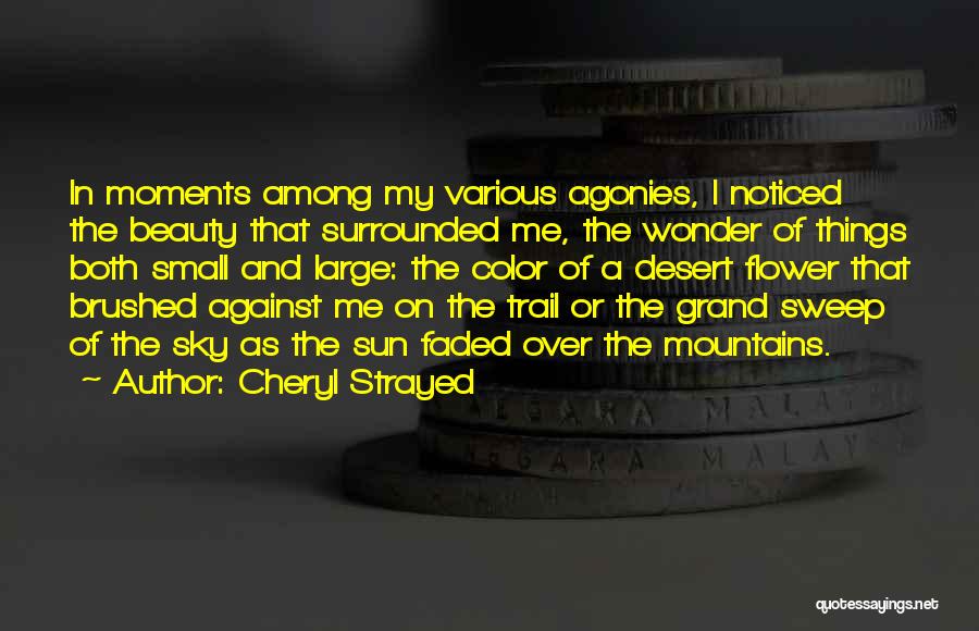 Cheryl Strayed Quotes 1197736