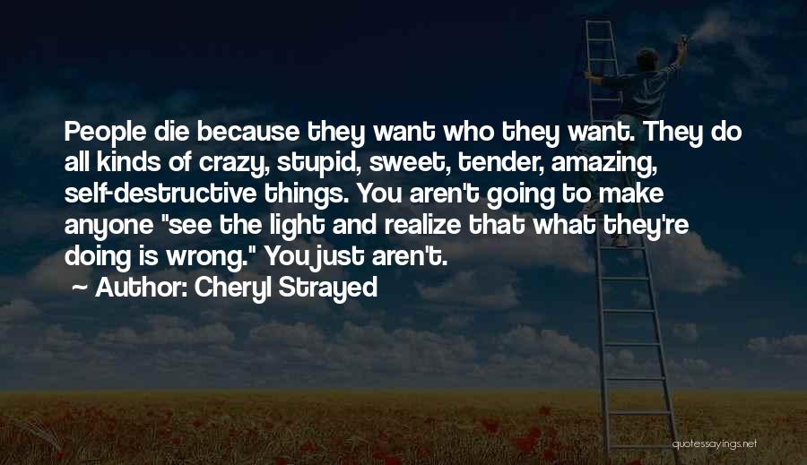Cheryl Strayed Quotes 1458693