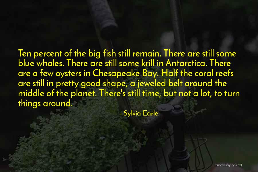 Chesapeake Quotes By Sylvia Earle Chesapeake Quotes By Sylvia Earle