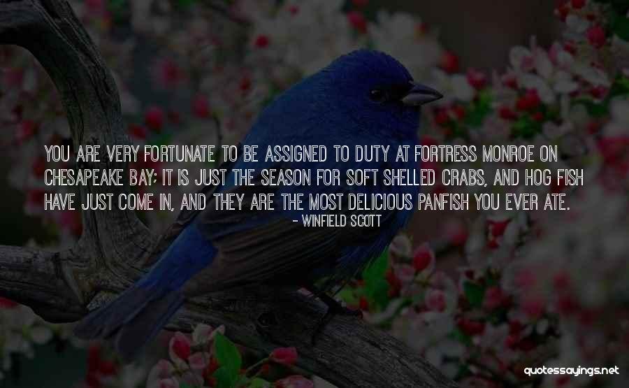 Chesapeake Quotes By Winfield Scott Chesapeake Quotes By Winfield Scott