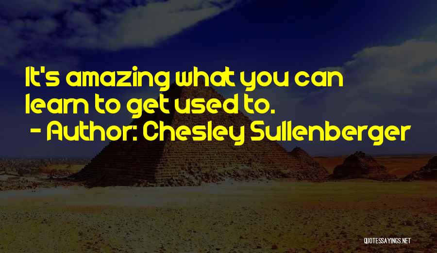 Chesley Sullenberger Quotes 1419504