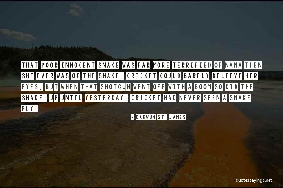 Chesner Rina Quotes By Darwun St. James Chesner Rina Quotes By Darwun St. James