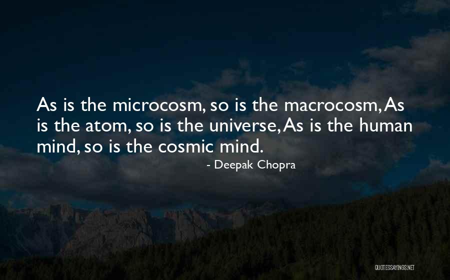 Chesner Rina Quotes By Deepak Chopra Chesner Rina Quotes By Deepak Chopra