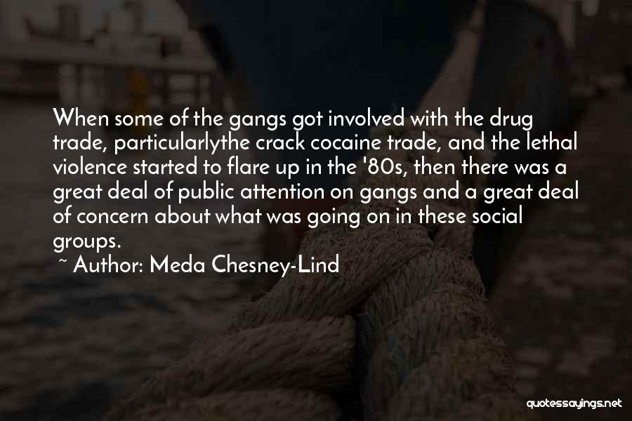 Chesney Quotes By Meda Chesney-Lind