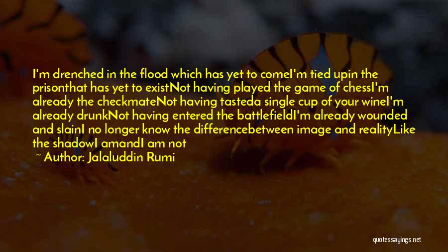 Chess Checkmate Quotes By Jalaluddin Rumi