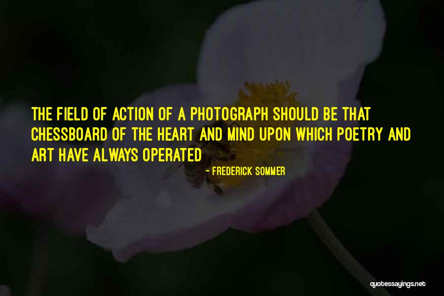 Chessboard Quotes By Frederick Sommer Chessboard Quotes By Frederick Sommer
