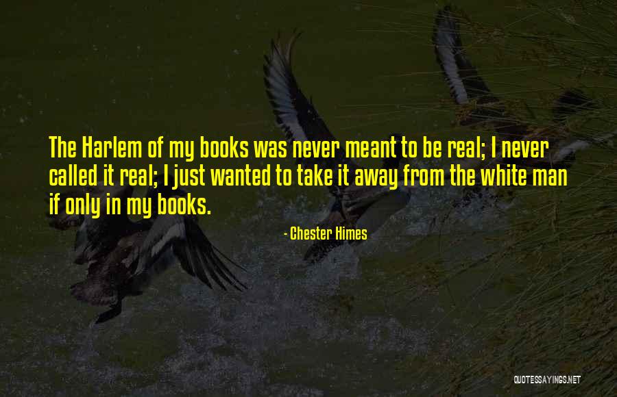 Chester Himes Quotes 144400