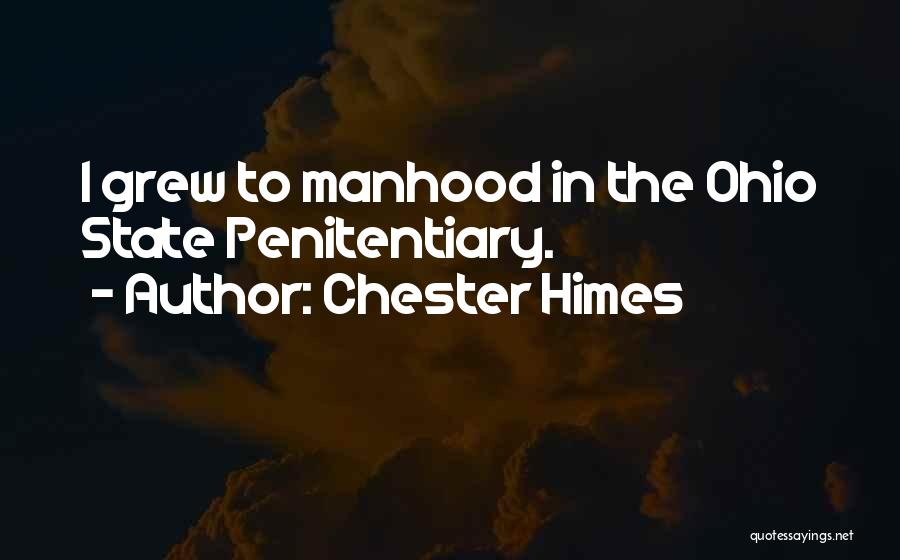 Chester Himes Quotes 191437