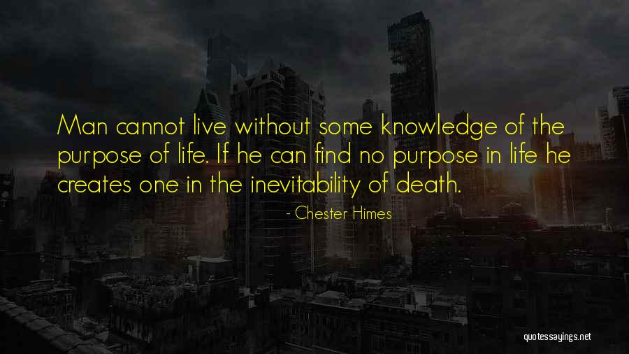 Chester Himes Quotes 2248490