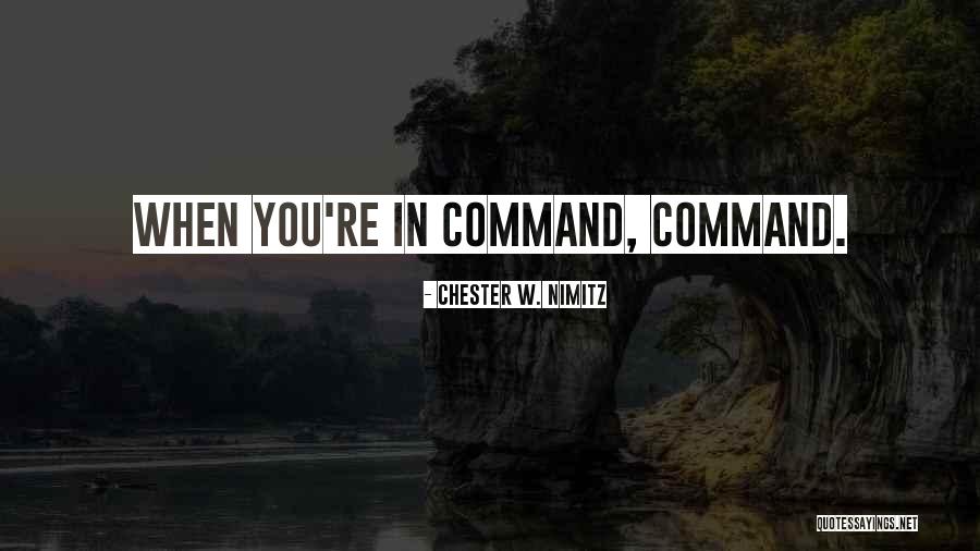 Chester W. Nimitz Quotes 603708