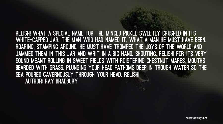 Chestnut Quotes By Ray Bradbury