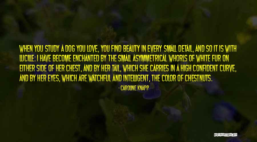 Chestnuts Quotes By Caroline Knapp Chestnuts Quotes By Caroline Knapp