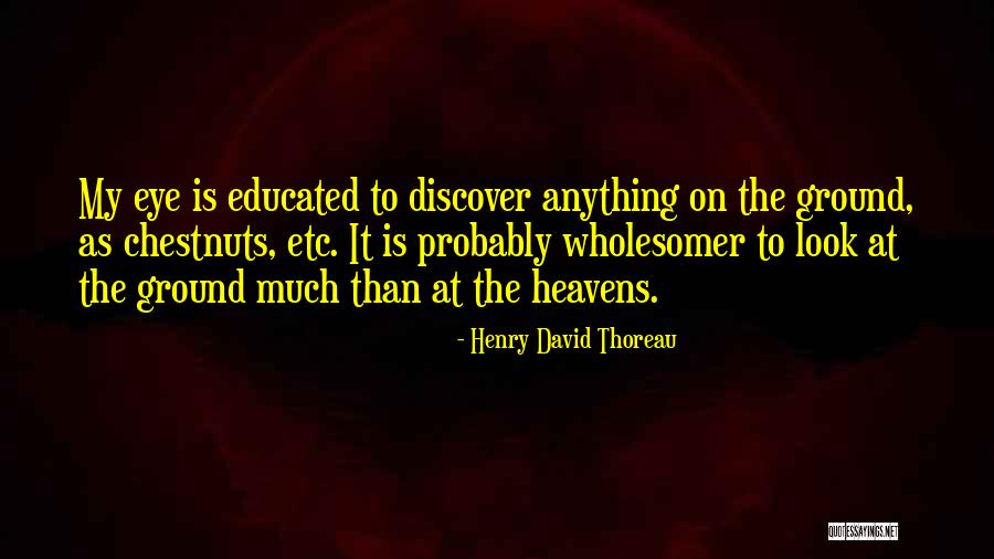 Chestnuts Quotes By Henry David Thoreau Chestnuts Quotes By Henry David Thoreau