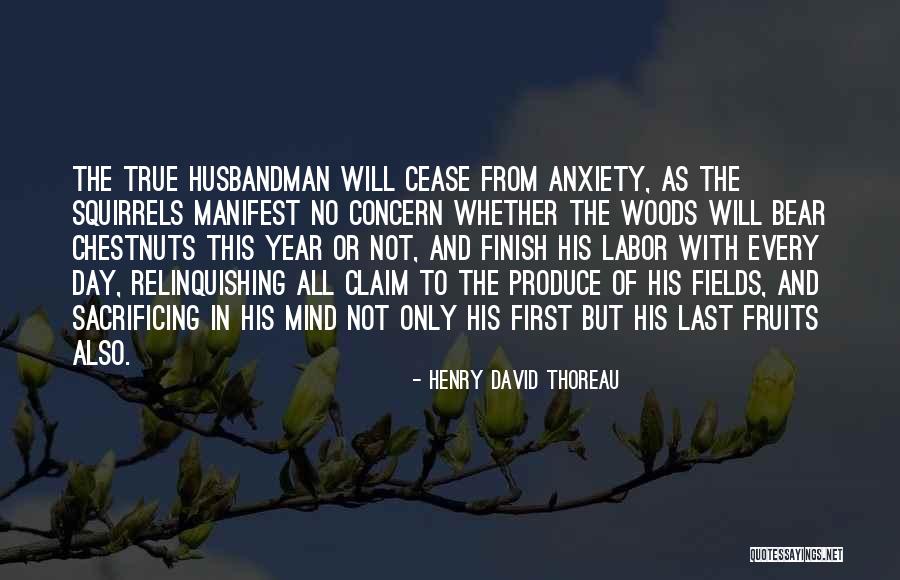 Chestnuts Quotes By Henry David Thoreau Chestnuts Quotes By Henry David Thoreau