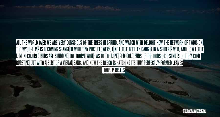 Chestnuts Quotes By Hope Mirrlees Chestnuts Quotes By Hope Mirrlees