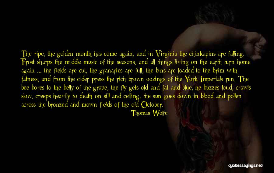 Chestnuts Quotes By Thomas Wolfe Chestnuts Quotes By Thomas Wolfe