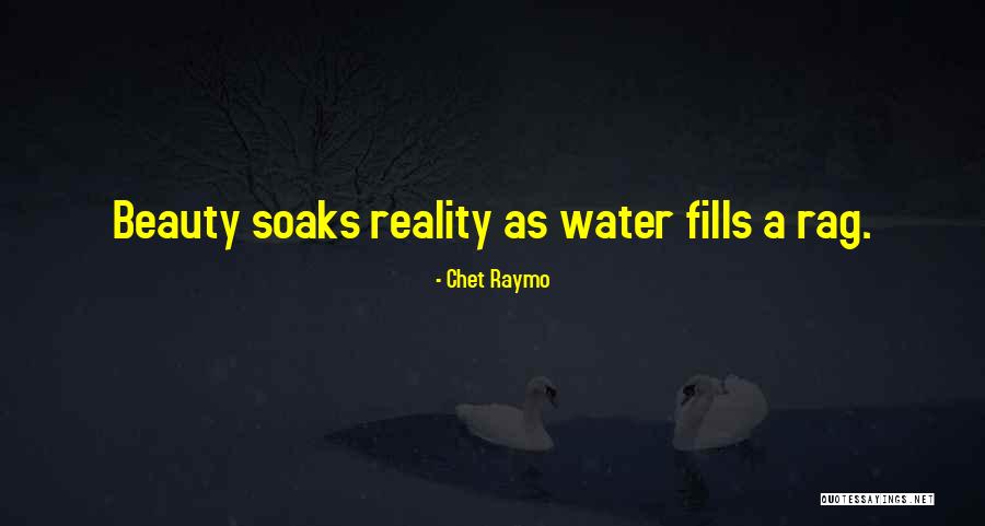 Chet Raymo Quotes 489329