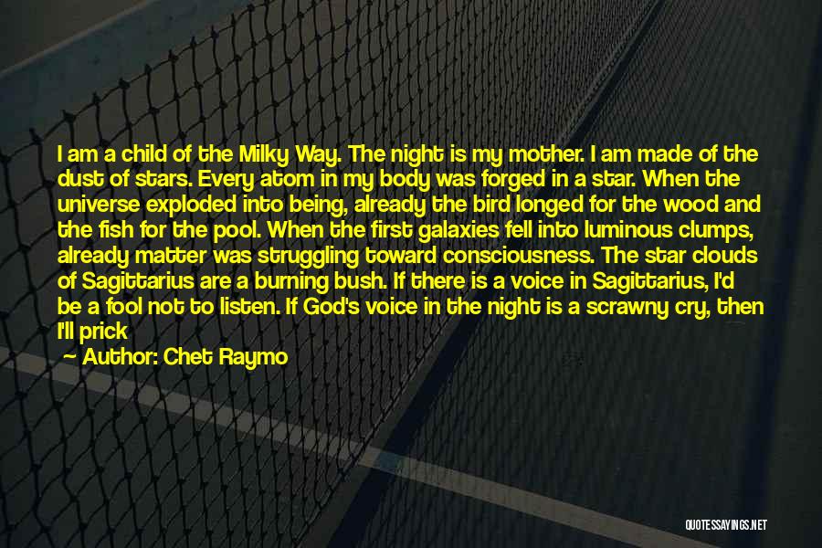 Chet Raymo Quotes 697997