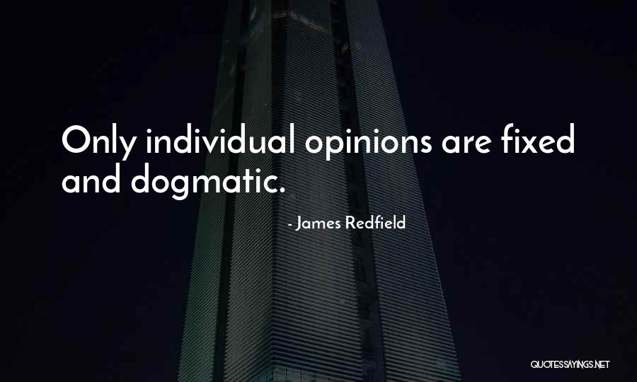 Chetniks And Nazis Quotes By James Redfield