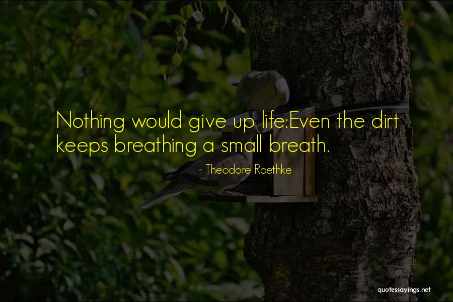 Cheung Tin Quotes By Theodore Roethke Cheung Tin Quotes By Theodore Roethke