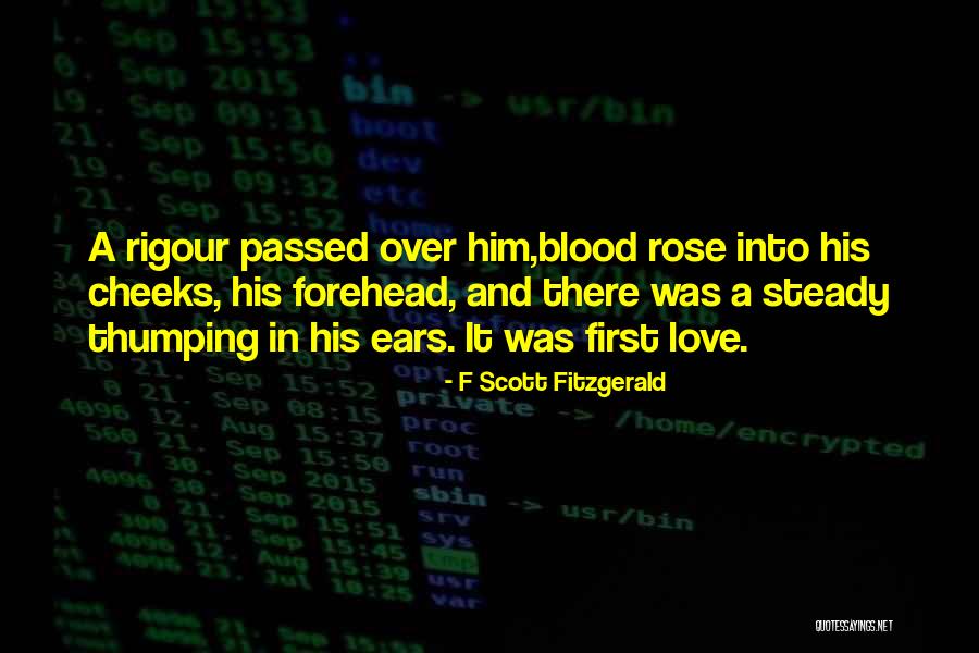 Chevalier School Quotes By F Scott Fitzgerald Chevalier School Quotes By F Scott Fitzgerald