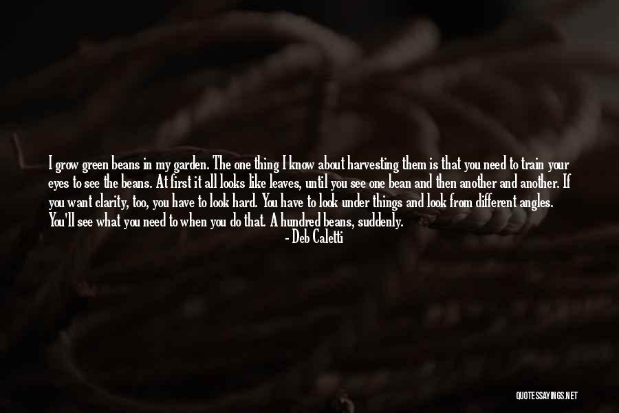 Chevelle For Sale Quotes By Deb Caletti Chevelle For Sale Quotes By Deb Caletti